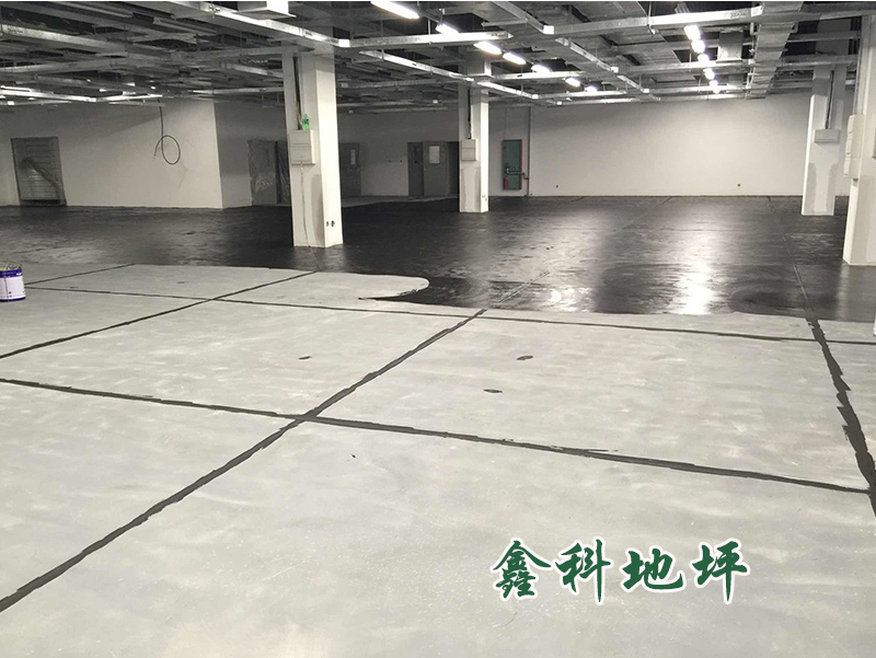 5dca5295202ca.jpg